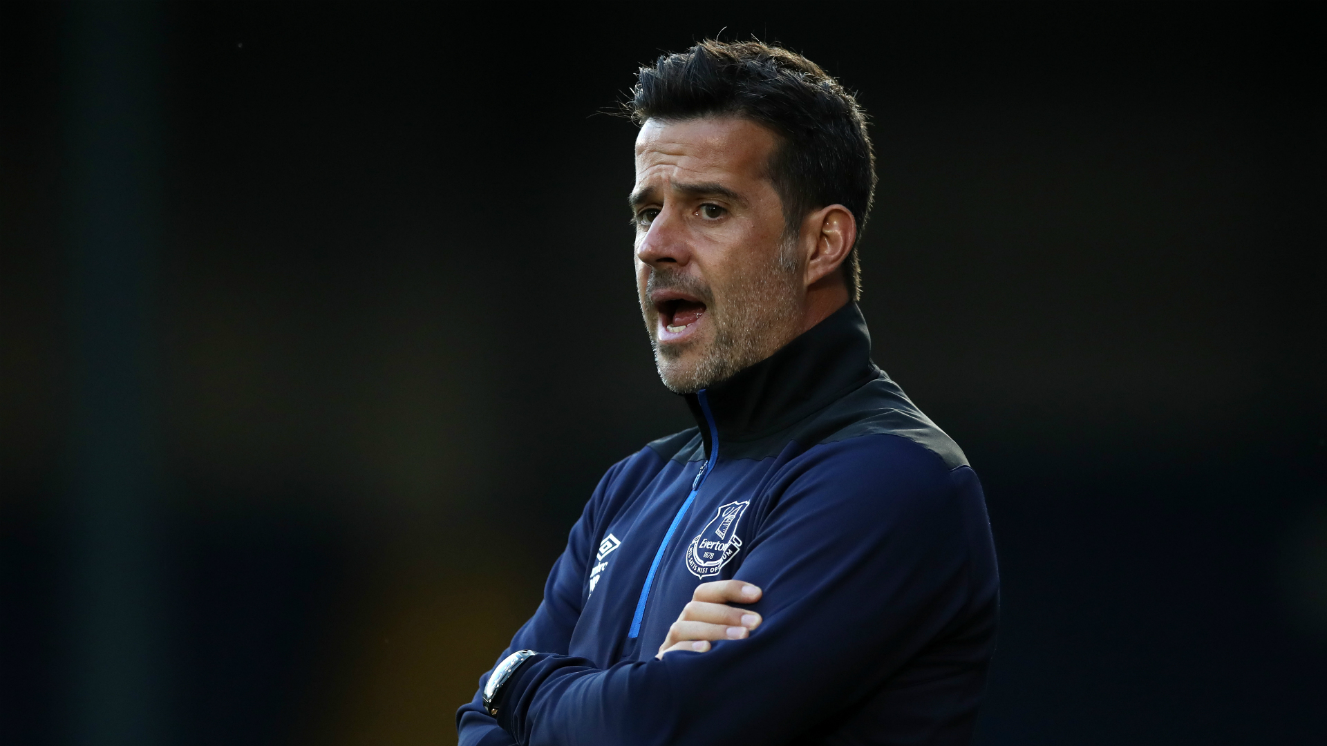 的组织进攻 的组织进攻